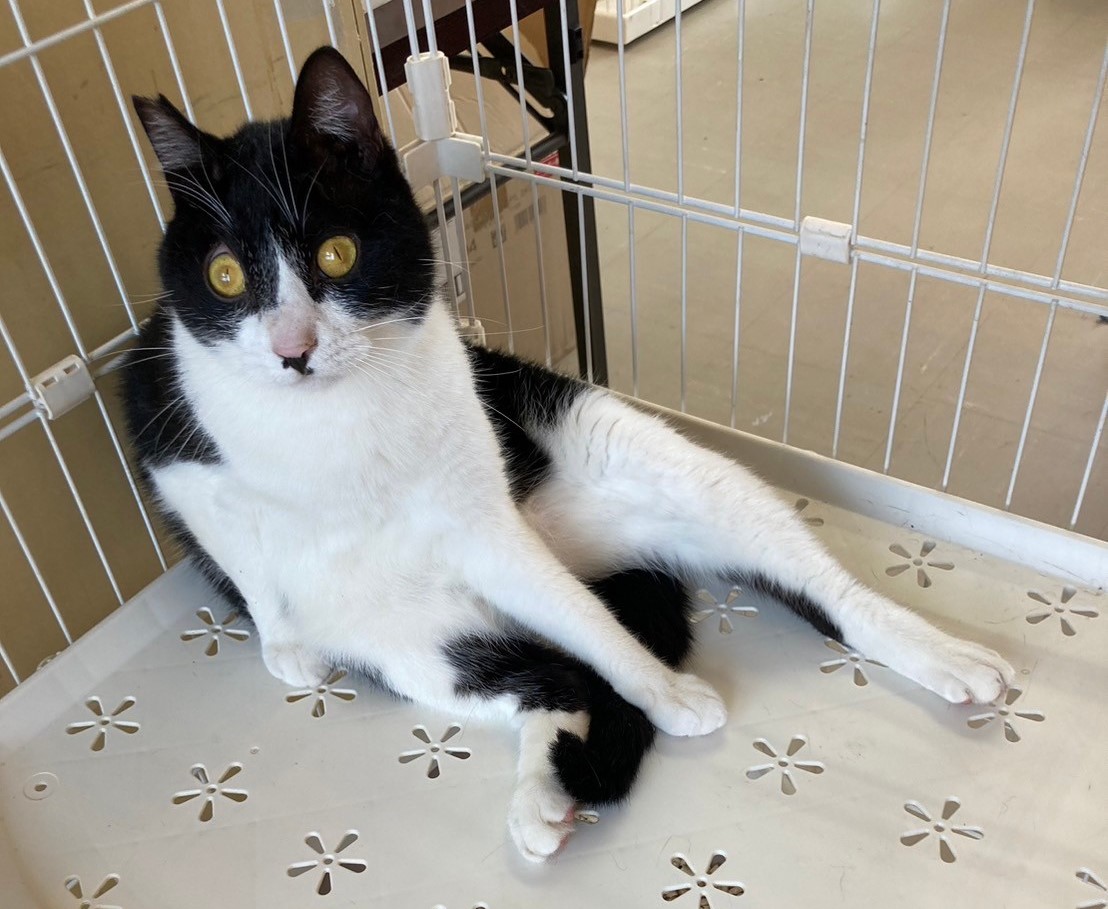 2024年 お盆・繁忙期期間のお知らせ