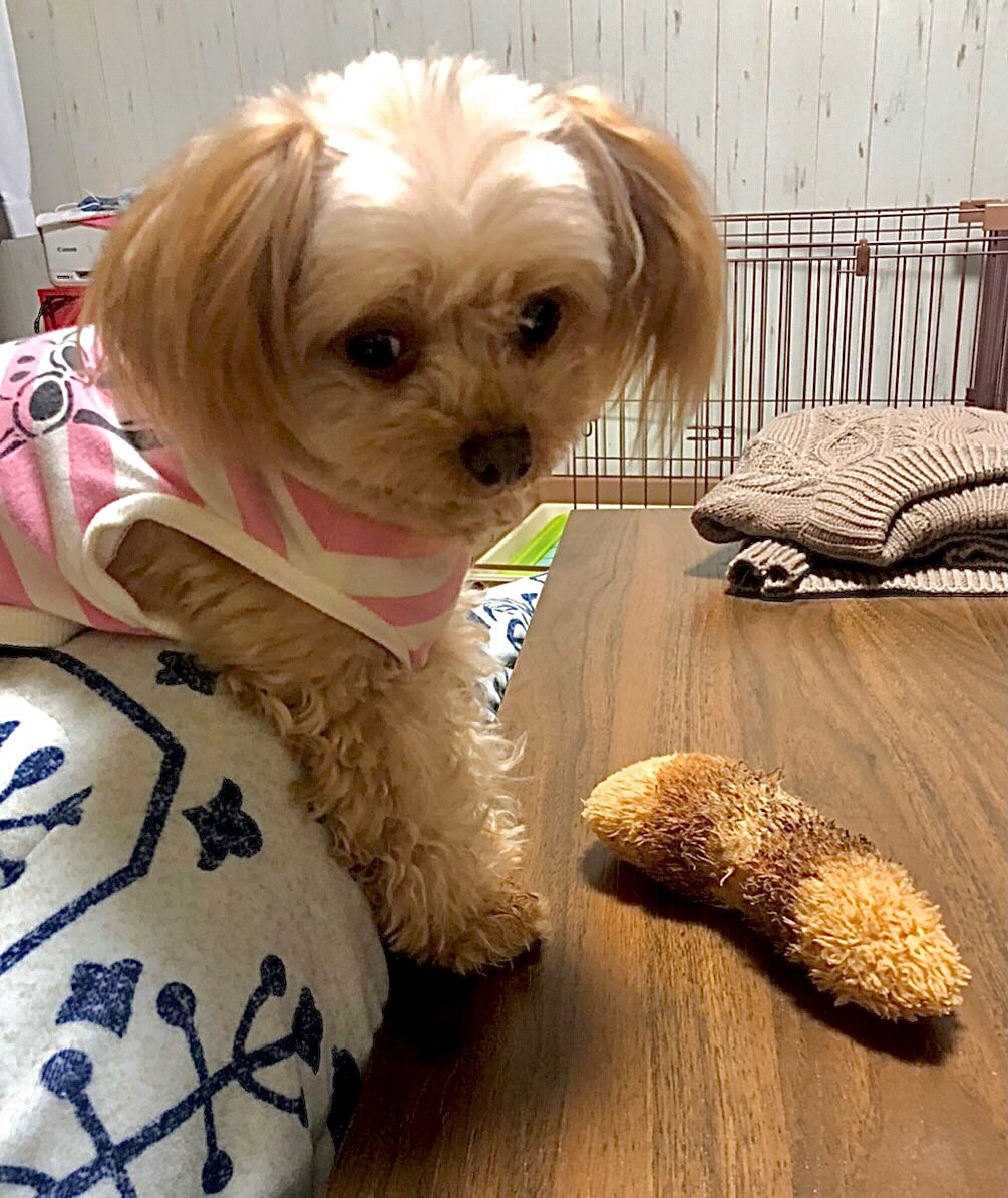 東日本大震災から１０年