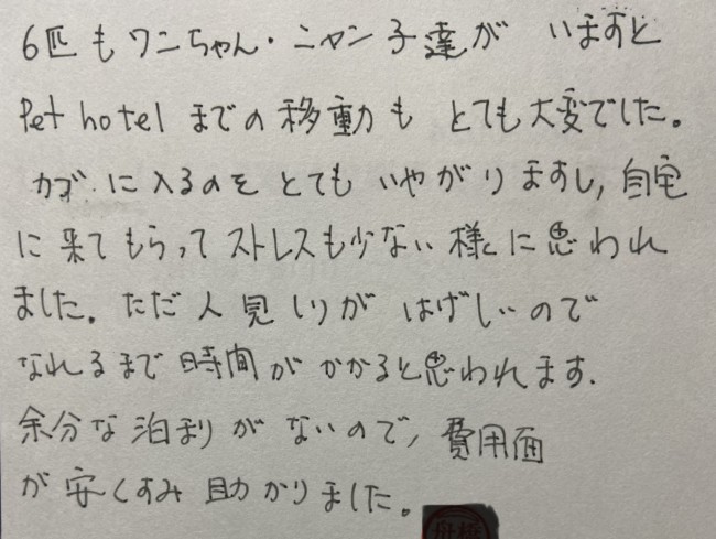 ペットシッター　箕面市　わんことにゃんこ6匹のご家族様