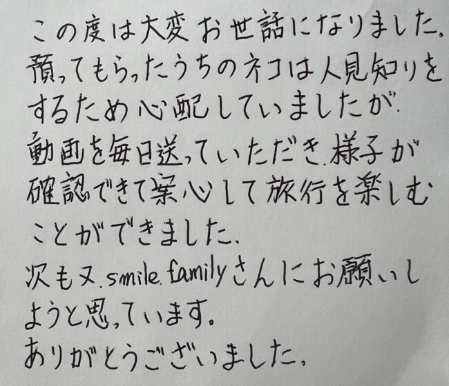 ペットホテル　スコティッシュフォールド　きなこちゃんのご家族様