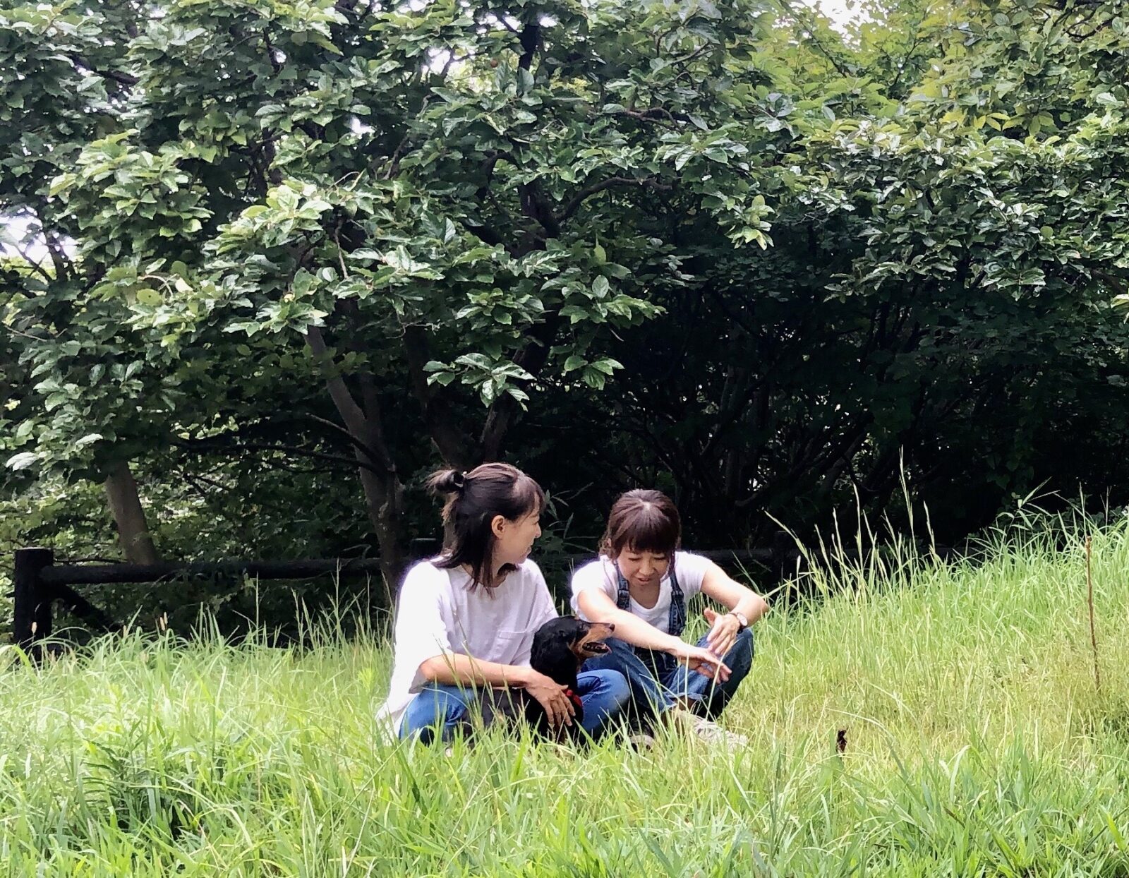 ペットシッターろばをご利用いただきありがとうございました