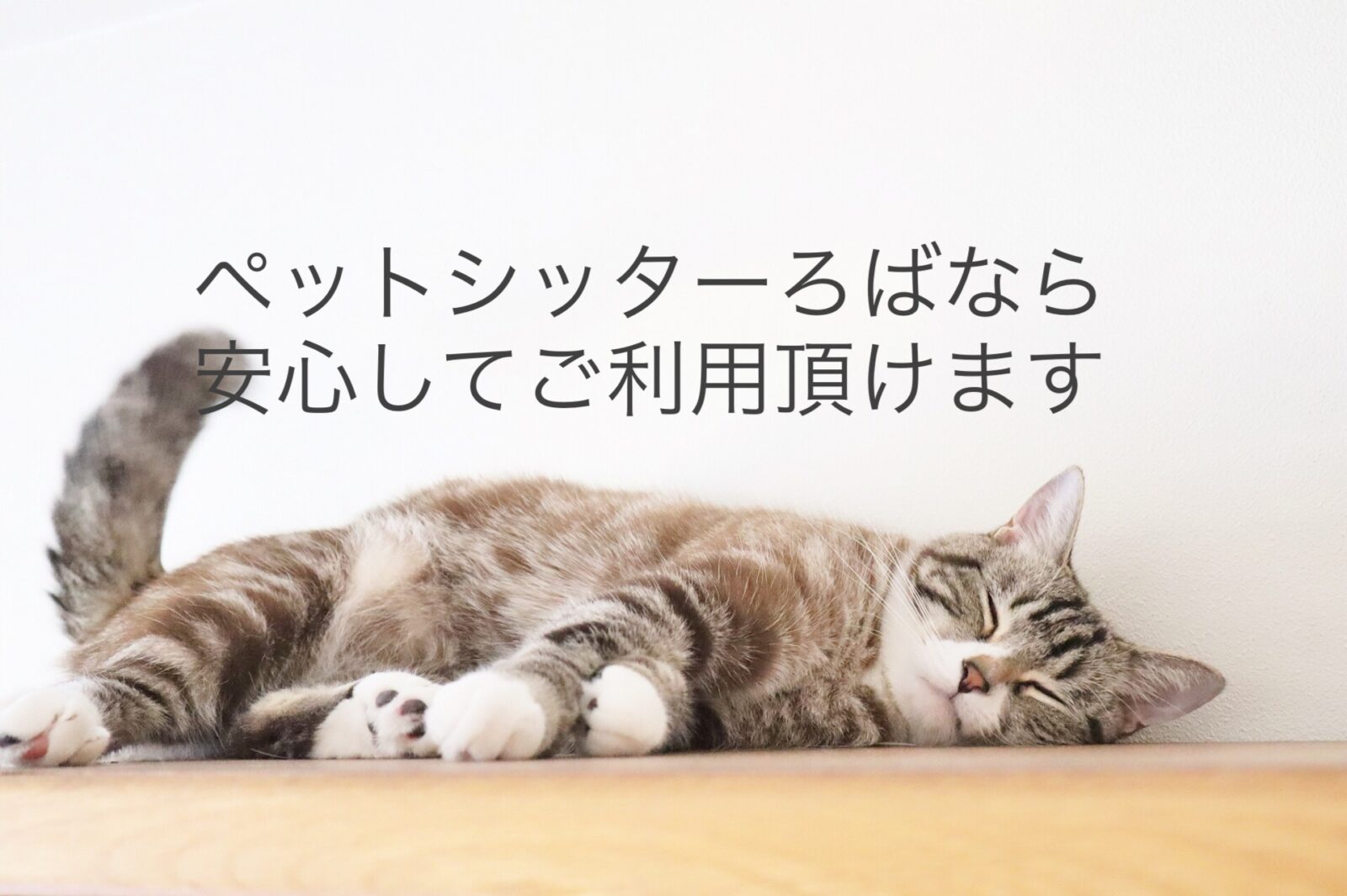 ペットシッターろば安心の理由