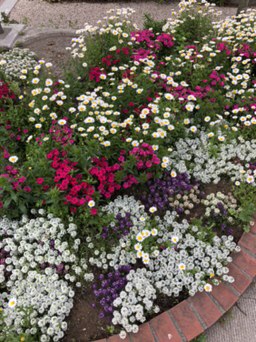 暖かくなってきました！