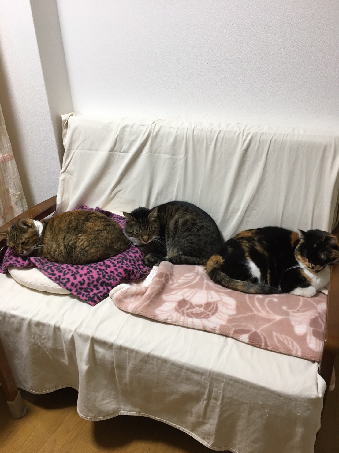 あけましておめでとうございます。