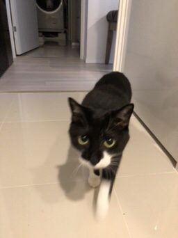 芝浦  バイカラーのきくらげちゃん  お世話の様子