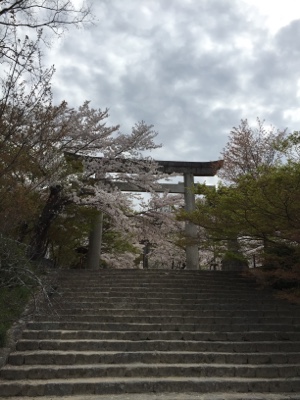 ペットシッター太宰府市開店