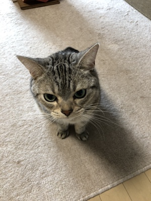 芝浦　こたろう君　お世話の様子