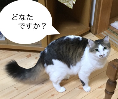 かりすちゃんとぴのくんのお世話