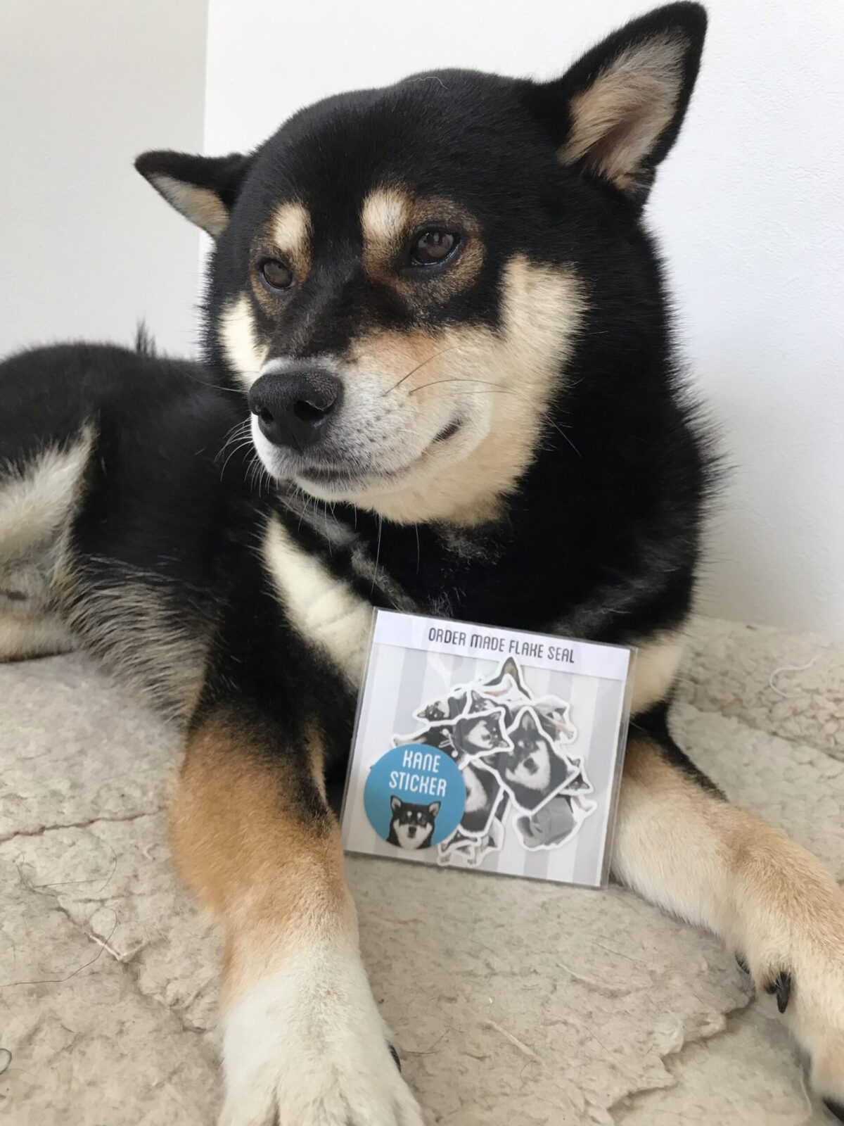 お客様からのプレゼント　我が子シール