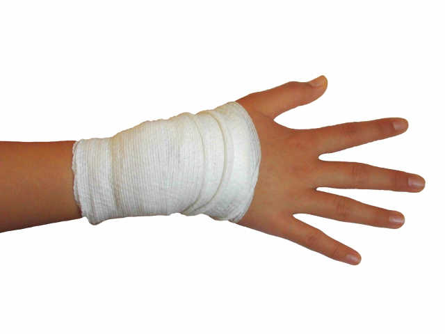 骨折や腰痛、治療やリハビリ中のペットのお世話