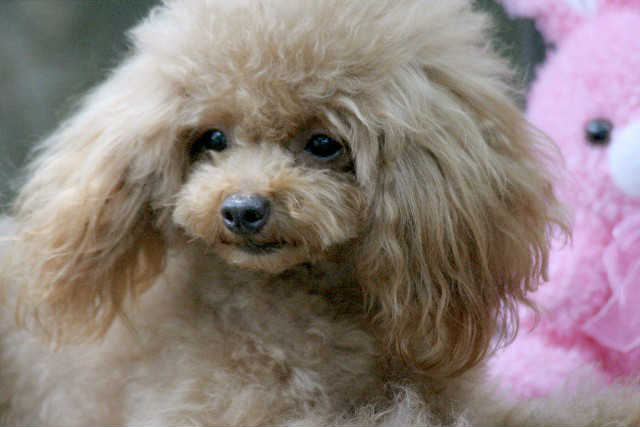 こんなトラブルにご注意！