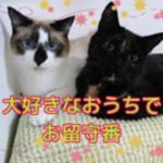 GWのご予定は決まりましたか？