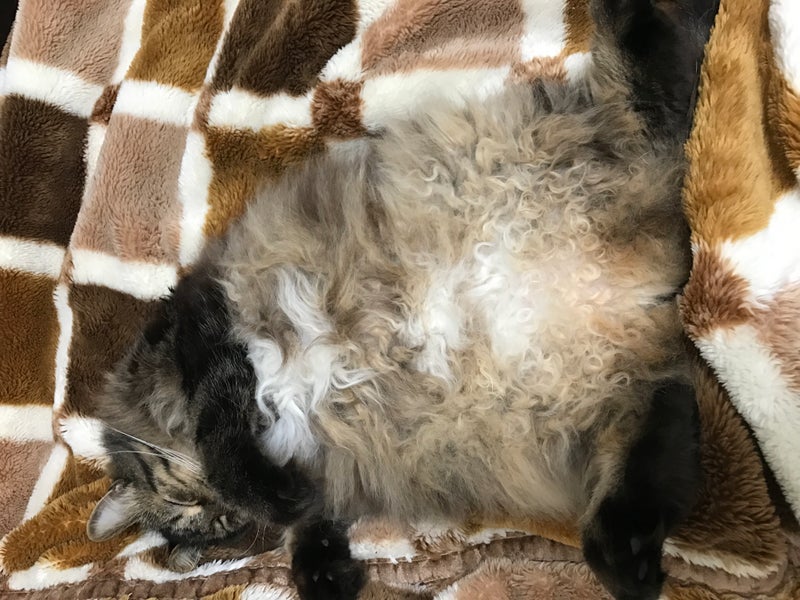 店長のプライベート大公開します　※注意※最後若干私からの宣伝入ってます。