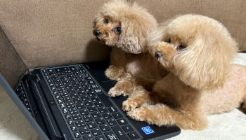 2025年お盆繁忙期についてのお知らせ📣