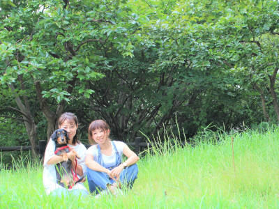 横浜市鶴見区のペットシッター