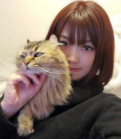 常総市のペットシッターAnimaRoom