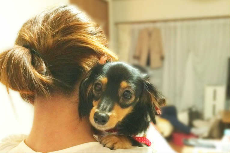 ペットシッターに向いている人とは?