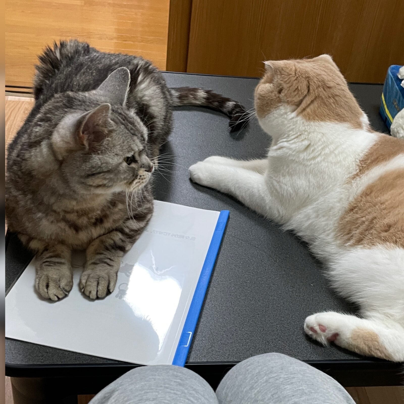 ✨覚えていてくれたのかな？☺️✨