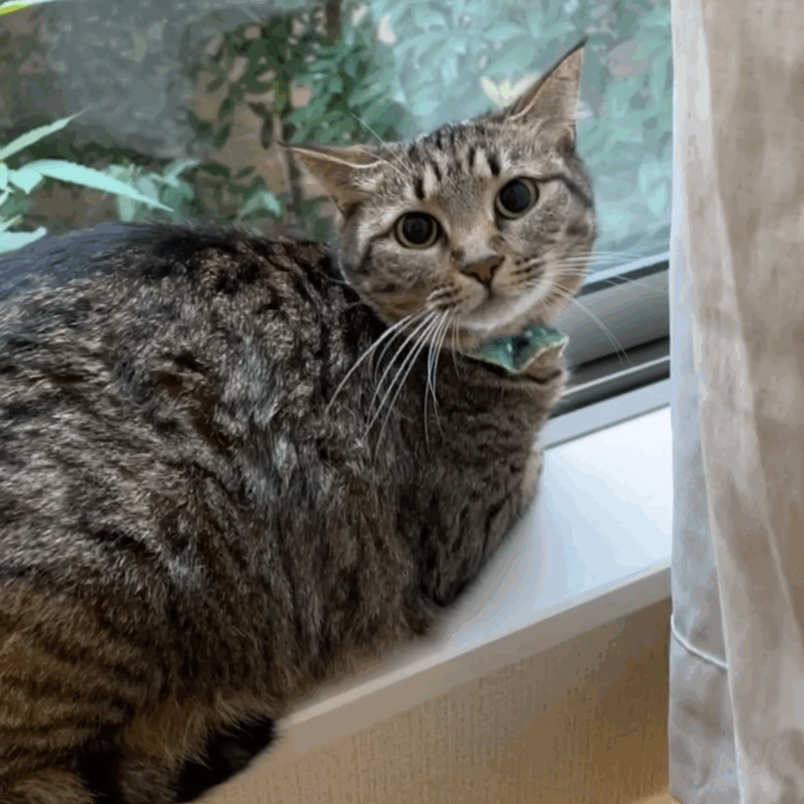 🦉羽角が可愛い💞