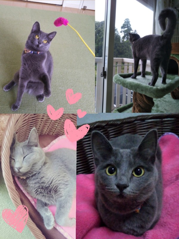 難聴の美少女ララちゃん☆