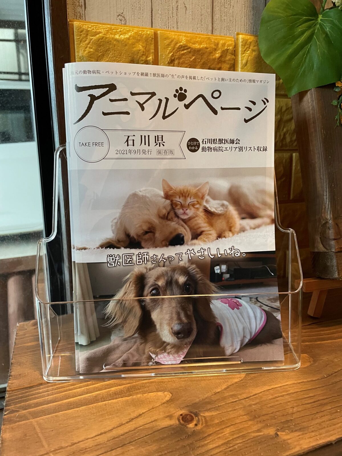 アニマルページ