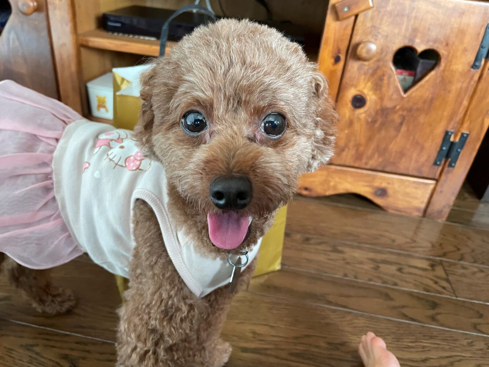 ご両親に金沢旅行をプレゼント