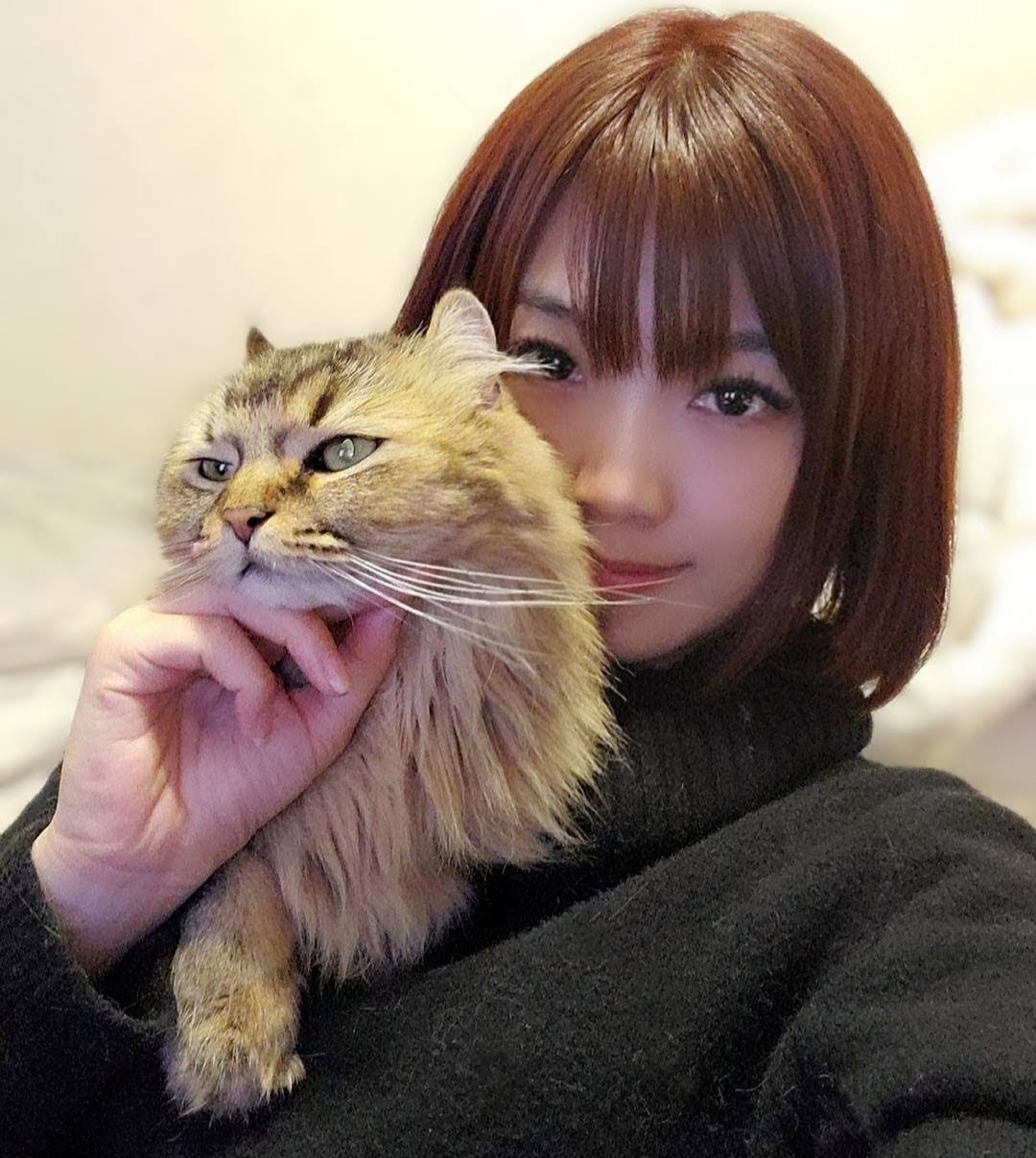 8月4日常総市にペットシッター、オープンしました