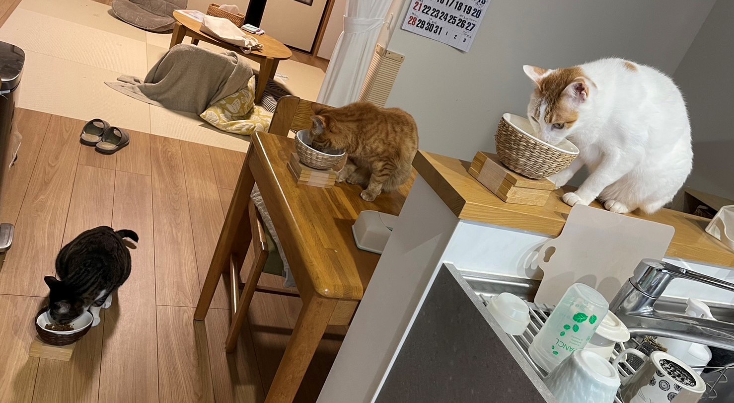 ペットシッター