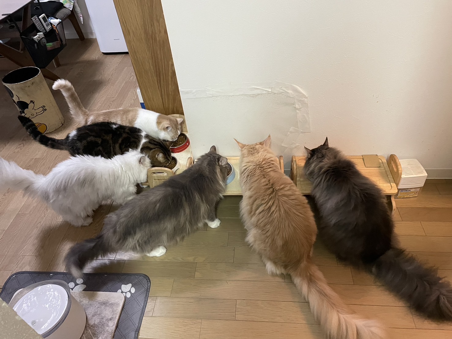 ペットシッター