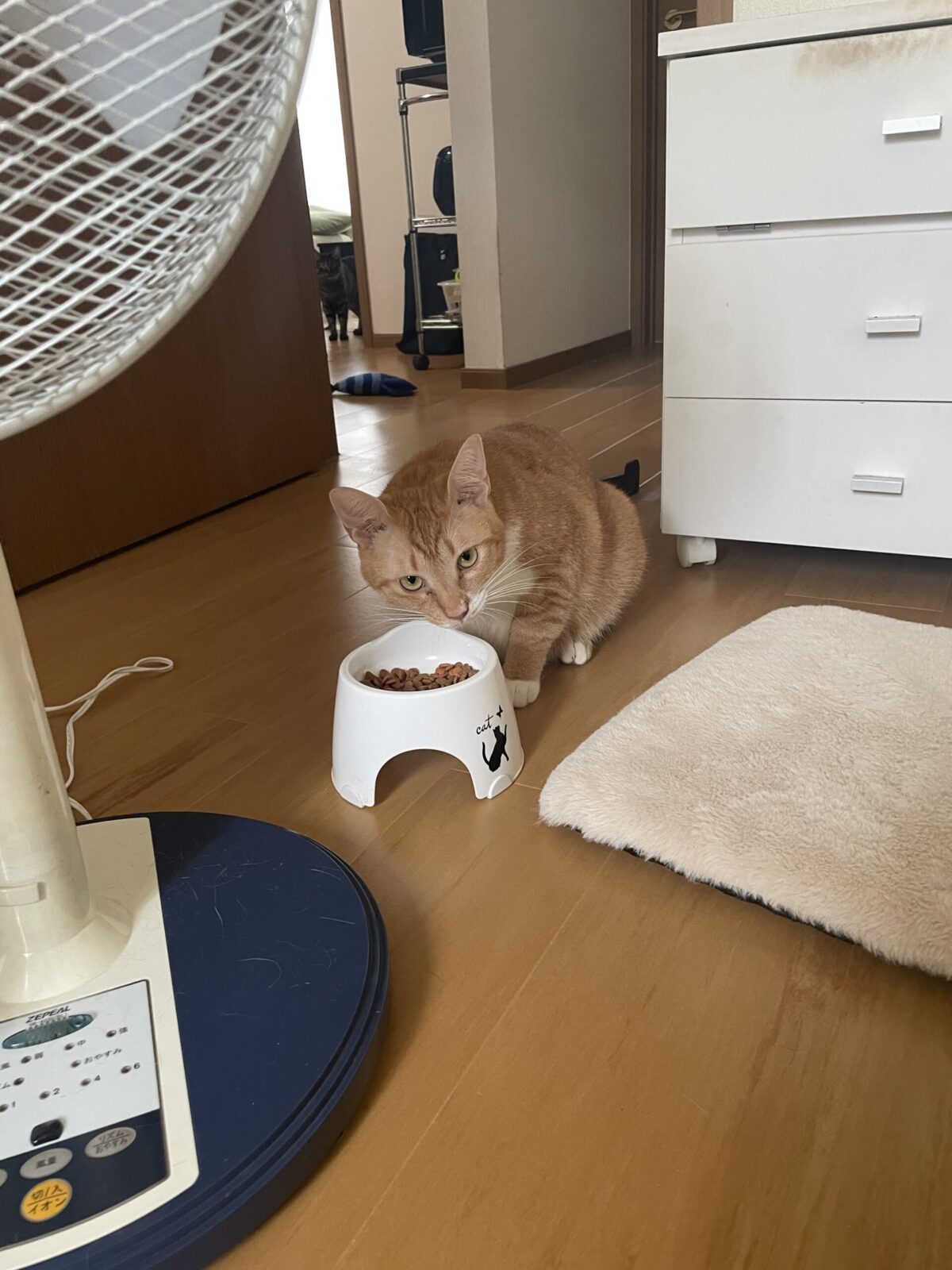 ペットシッター