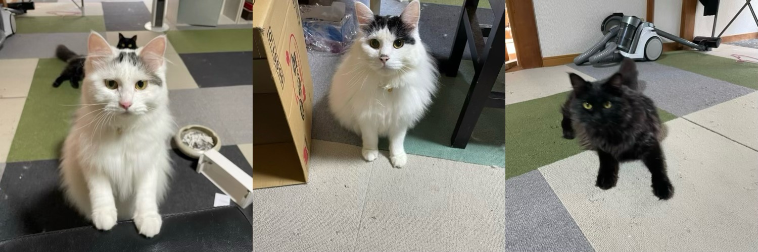 ペットシッター