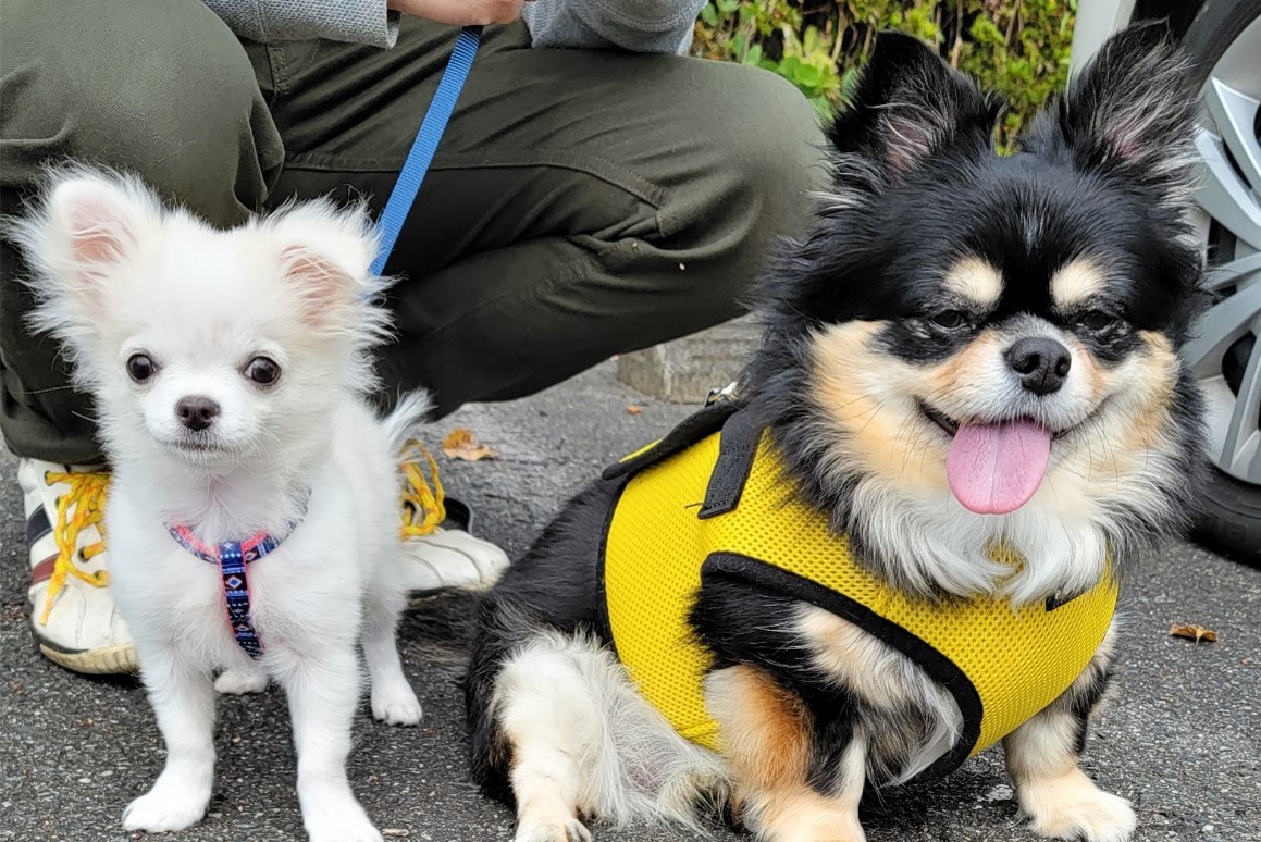 新年のご挨拶🌅