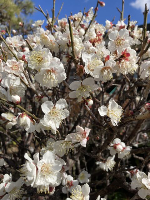 2021.3月のお休み