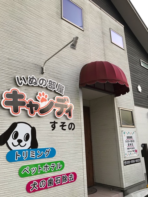 裾野市 ワンコの強い味方 キャンディさん