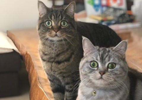 マリオ君としじみちゃん