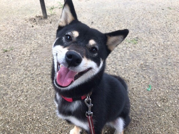 お世話・初回訪問 川口市 さいたま市