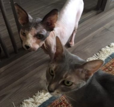 トム君とジュンちゃん