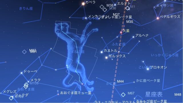 やまねこ座を発見しました