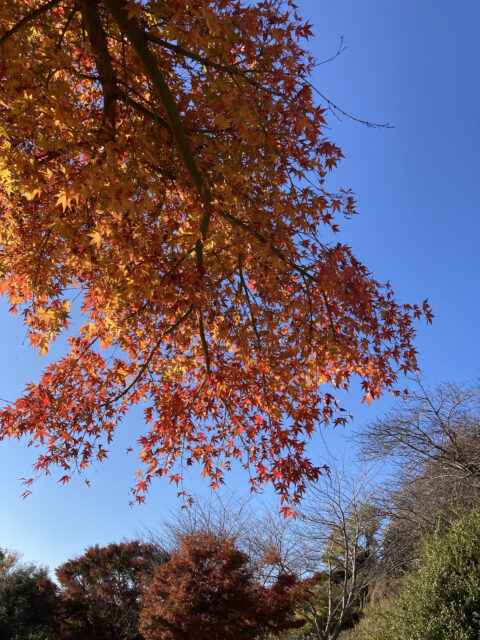 2022.1月のお休みと年末年始のご依頼について