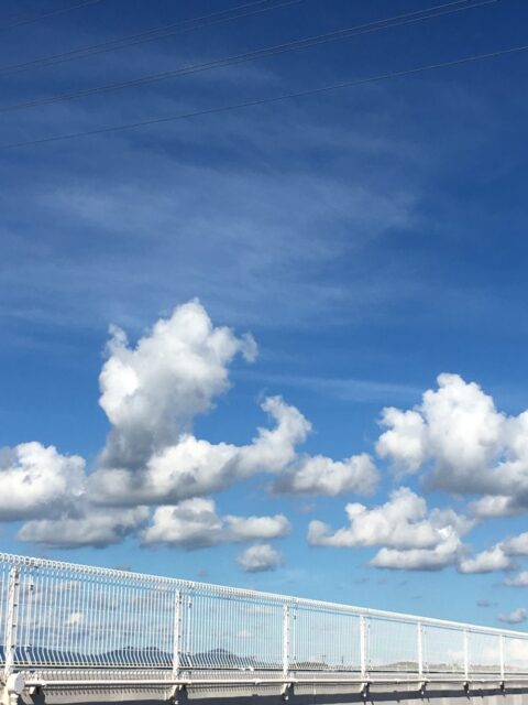 2019.10月お休みのお知らせ