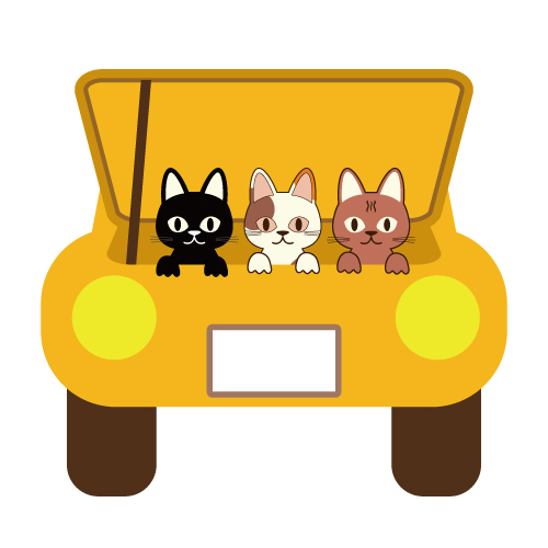 車に乗る前は猫確認を