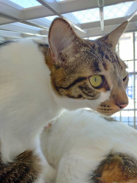 ゴールデンウィークの繁忙期のお知らせ