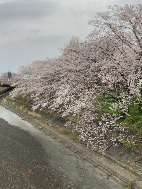 2021.GW繁忙期、今年は通常料金です