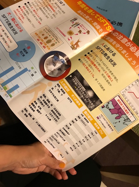 沼津市ペットシッター 取扱責任者講習