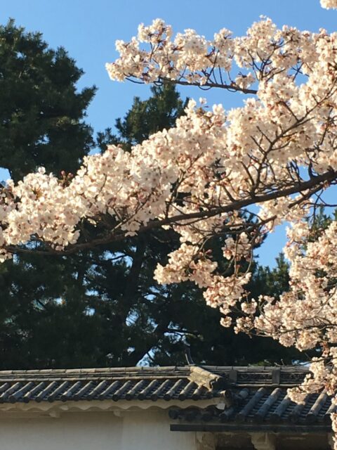 2019.GW(ゴールデンウィーク)繁忙期のお知らせ