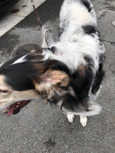 沼津市 初回訪問