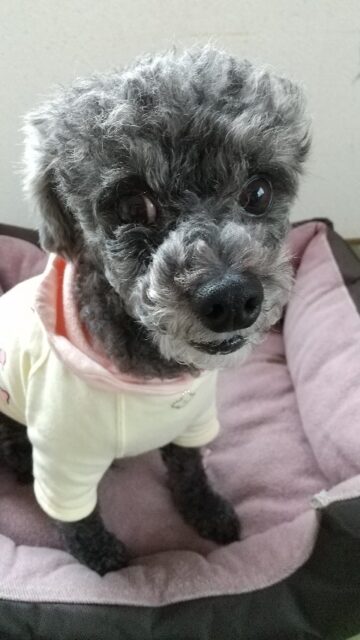 ハルくん、お泊りは楽しかったですか❣️