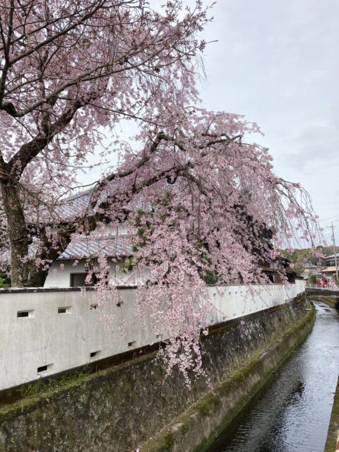 2022.4/13.14はお休みをいただきます。