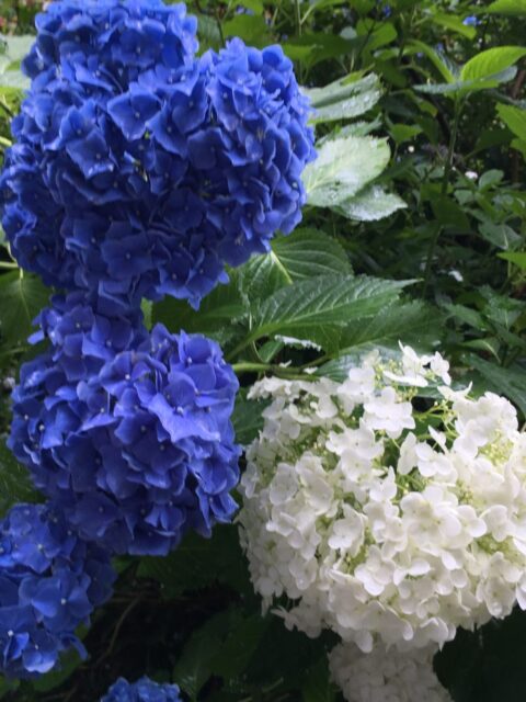 2019.7月のお休み