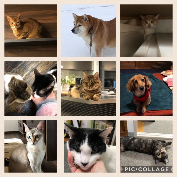 年末年始は大忙し　